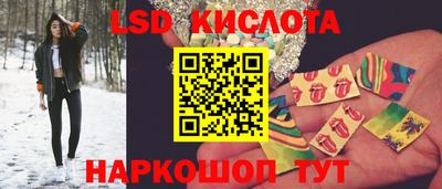 стаф Камышлов