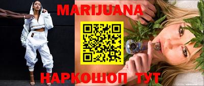 сатива Кандалакша