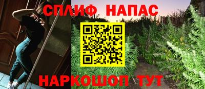 сатива Кандалакша
